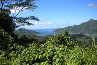 Vous offriront une multitude d'activits...