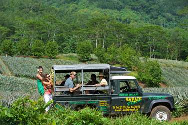 En jeep ou en 4x4 vous dcouvrirez l'le de Moorea comme il se doit...