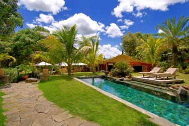Piscine nich�e dans un environnement tropical luxuriant
