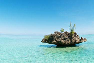 Au programme ? Sorties en bateau, snorkeling...