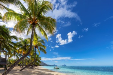 photo Combin� 3 �les - Archipel des Mascareignes Ile Maurice