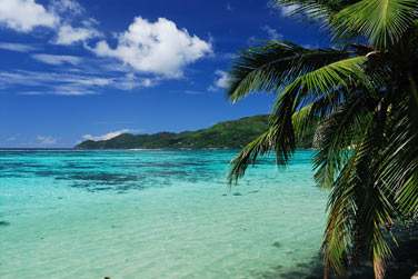 Cette belle plage de sable blanc, calme et protge,
