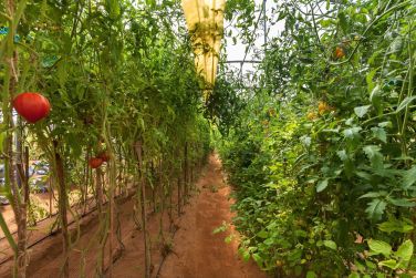 photo Six Senses Zighy Bay Oman