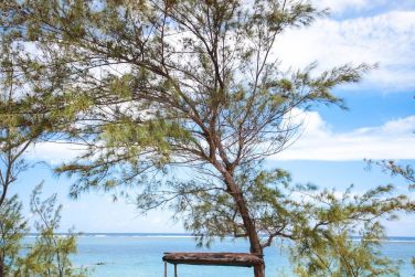 photo Constance Tekoma Rodrigues Rodrigues