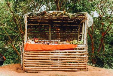 photo Constance Tekoma Rodrigues Rodrigues