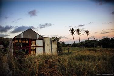 Partez dcouvrir la campagne de l'le de Rodrigues