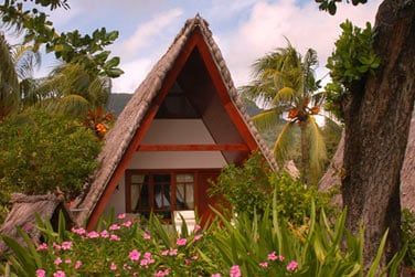 Au coeur de la vgtation tropicale