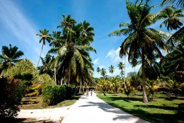 Et surtout flnez  vlos au travers de l'le