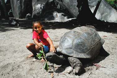 Bon sjour sur cette le de caractre !
