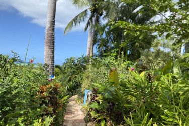 photo Rsidence Vue Mer Guadeloupe