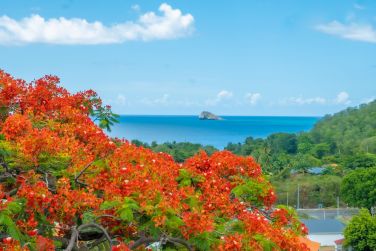photo Rsidence Vue Mer Guadeloupe