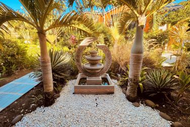 Le Jardin du Tropicana Suites et ses palmiers majestueux