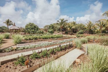 photo Long Beach Ile Maurice