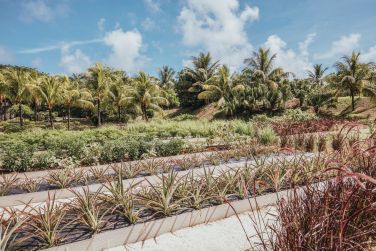 photo Long Beach Ile Maurice