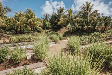 photo Long Beach Ile Maurice