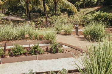 photo Long Beach Ile Maurice