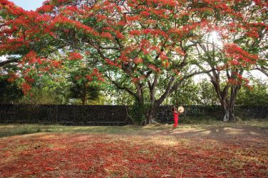 photo L'le Maurice autrement Ile Maurice