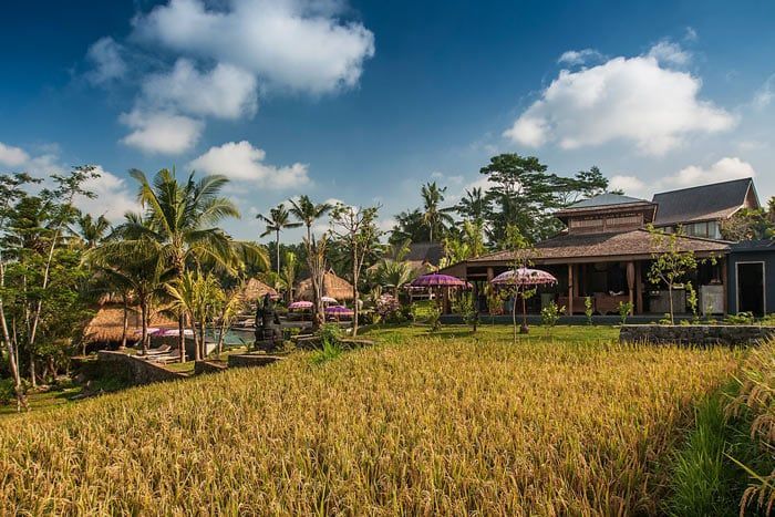 photo blue karma nestling ubud