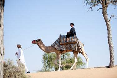 Ou bien opter pour une randonne  dos de dromadaire !