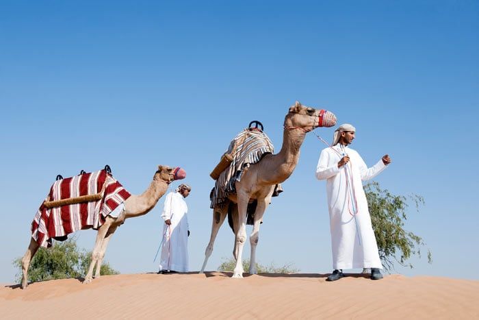 photo the ritz-carlton ras al khaimah, al wadi desert