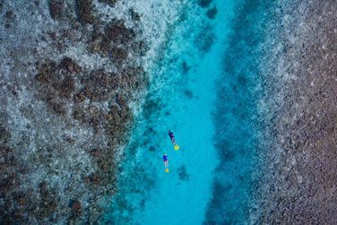 photo Lily Beach Resort & Spa Maldives