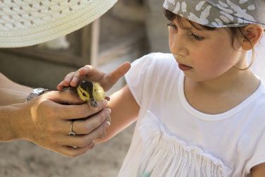 photo Denis Private Island Seychelles