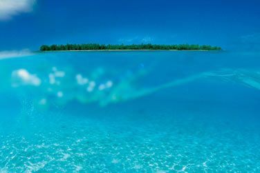 photo Denis Private Island Seychelles