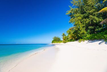 photo Denis Private Island Seychelles