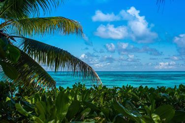 photo Denis Private Island Seychelles