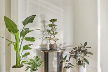 photo Emirates Palace Abu Dhabi