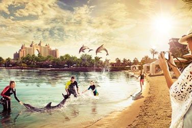 Nager avec les dauphins ou simplement les caresser... C'est possible au Dolphin Bay