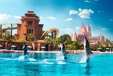 Vous pourrez galement assister  de nombreuses reprsentations des dauphins