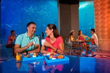 Le Posidon Caf pour dguster une excellente patisserie