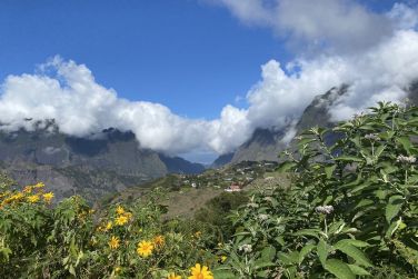 photo Chambre d'htes Tapacala Runion