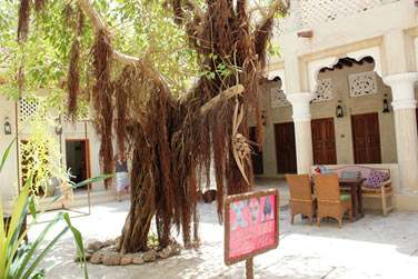 Profitez des petits coins de dtente dissmins ici et l dans les cours intrieures