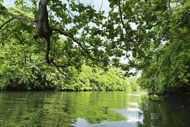 La rivire, un lieu calme et reposant mais galement propice aux activits de pleine nature