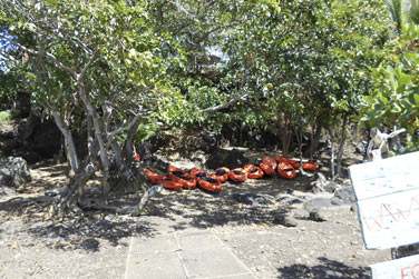 Ou empruntez un kayak  Otentic