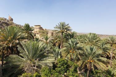 Misfat, un village avec d'impressionnantes terrasses agricoles