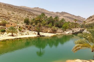 Baignez-vous dans les eaux du Wadi Bani Khalid