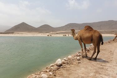 Direction ensuite la plage de Mughsail ou la mer vient caresser le sable blanc