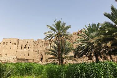Birkat Al Maouz, l'un des villages en ruine les plus connus du sultanat d'Oman