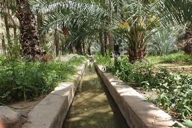 Dcouvrez les falajs  Birkat Al Maouz