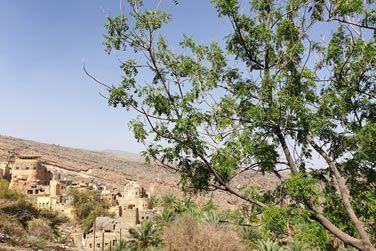 ous pourrez dcouvrir ici le systme d'irrigation traditionnel Omanais : le Falaj