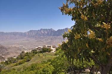 Vous dcouvrirez alors des paysages de toute beaut, une nature encore intacte