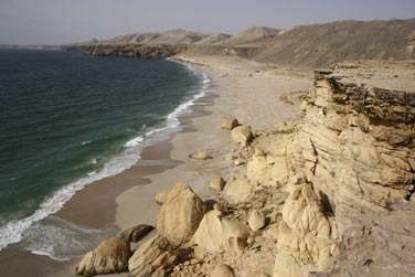 Bienvenue  Ras Al Jinz, sur la cte est du Sultanat d'Oman...