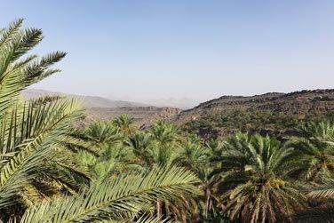 Misfah, l'un des villages les plus pittoresques d'Oman