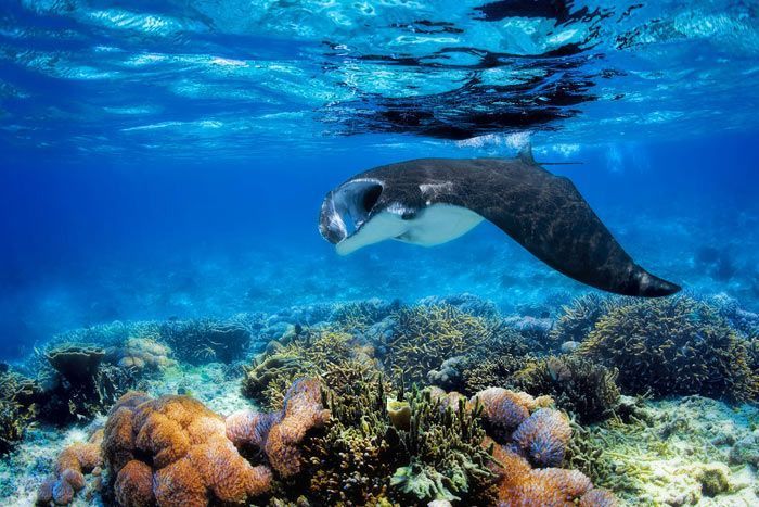 photo combin duba / maldives - charme et lagon