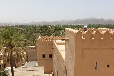 Admirez le sublime panorama sur la palmeraie