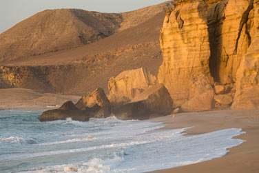 Une rgion trs prserve au cur de la rserve naturelle de Ras Al Hadd