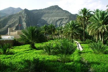 Birkat Al Mouz, l'un des villages en ruine les plus connus du sultanat d'Oman